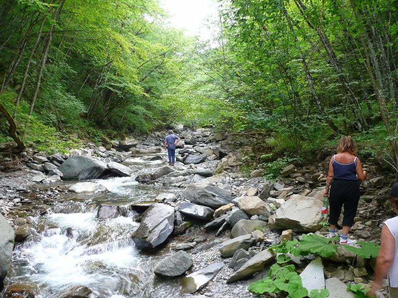 P1060569.JPG