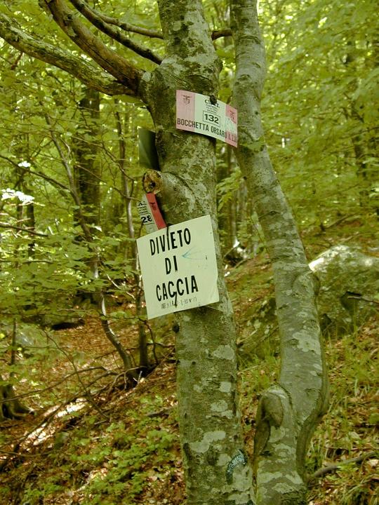 A074.jpg - Attorno al Monte Orsaro 21-05-2000