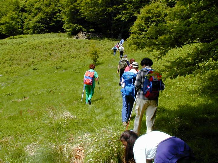 A076.jpg - Attorno al Monte Orsaro 21-05-2000