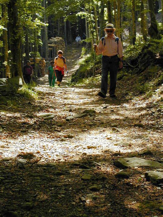B015.jpg - Attorno al Monte Orsaro 21-05-2000