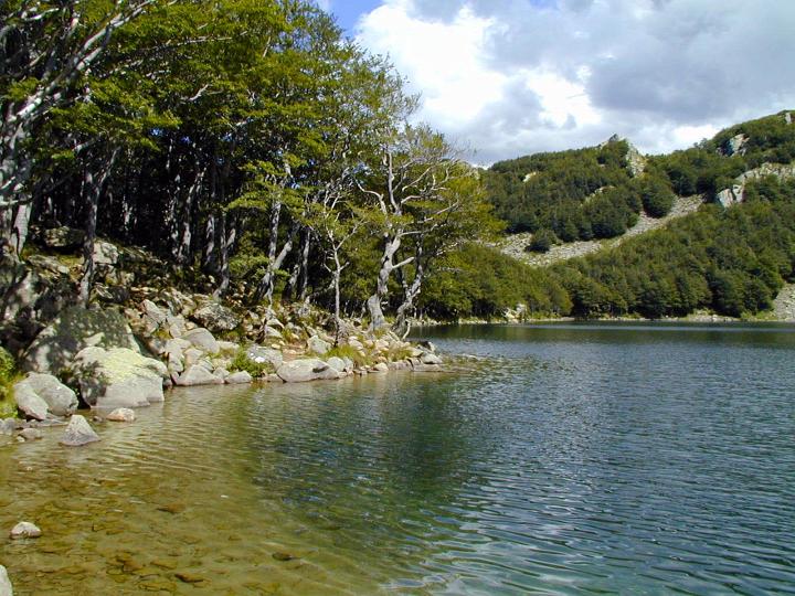 FB049.jpg - Pradaccio - Passo Guadine - Lago Santo 15-07-2000