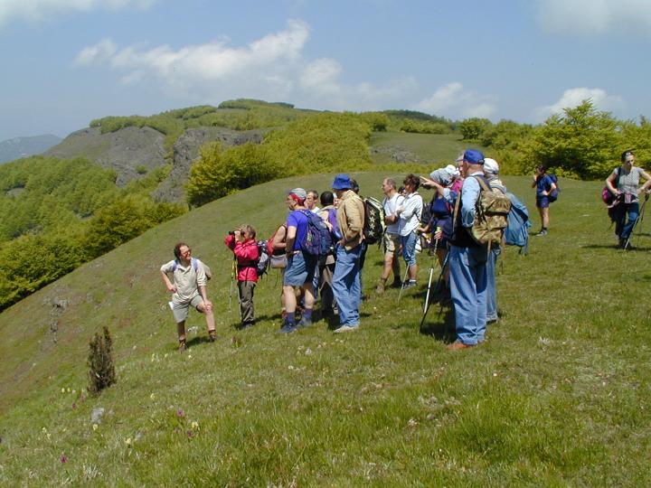 010513_121930_1.JPG - Monte Lama 12-05-2001