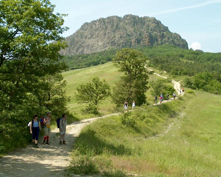 IM000216.JPG - Pietra Perduca - Parcellaria 27-05-2001