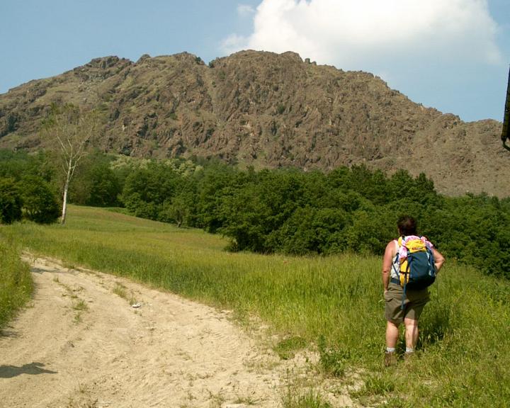 IM000277.JPG - Pietra Perduca - Parcellaria 27-05-2001