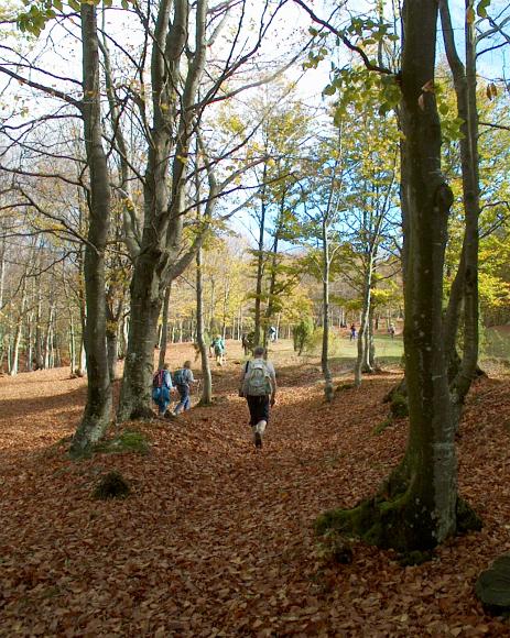IM000927.JPG - Monte Barigazzo 21-10-2001