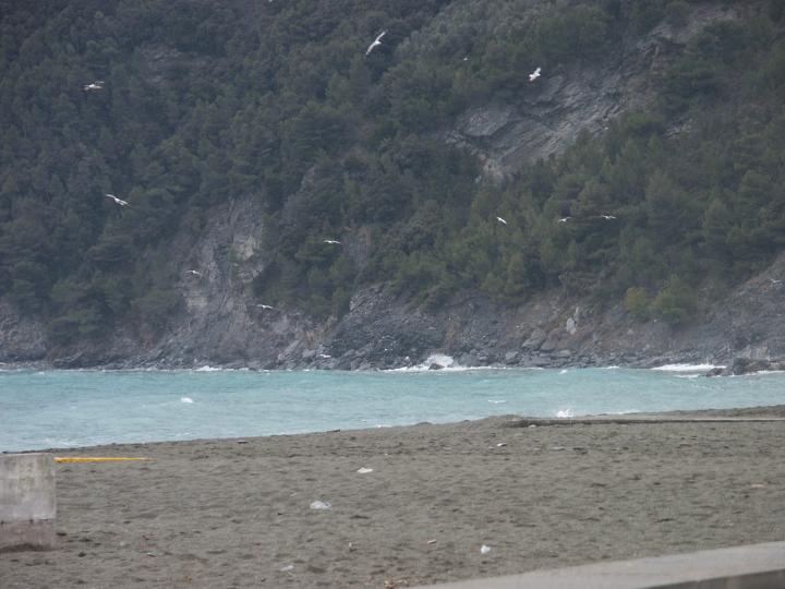 PICT1031.JPG - Mare 27-01-2002