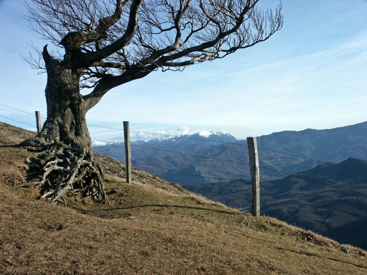 PICT1167_modificato.JPG - Monte Barigazzo 10-02-2002