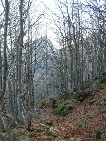 021020_094108_1.JPG - Tour Lagoni 20-10-2002