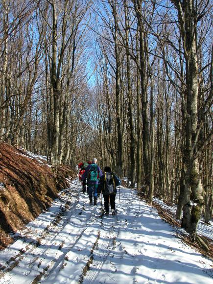 DSCN0363.JPG - Monte Dosso 02-02-2003