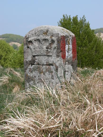 DSCN1171.JPG - Via Francigena 04-05-2003
