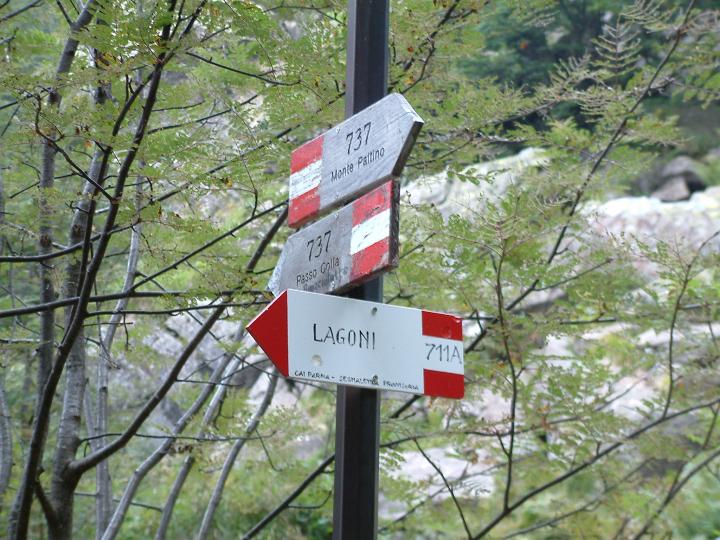 DSCF0165.JPG