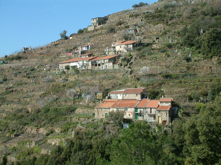 DSCF0091.JPG