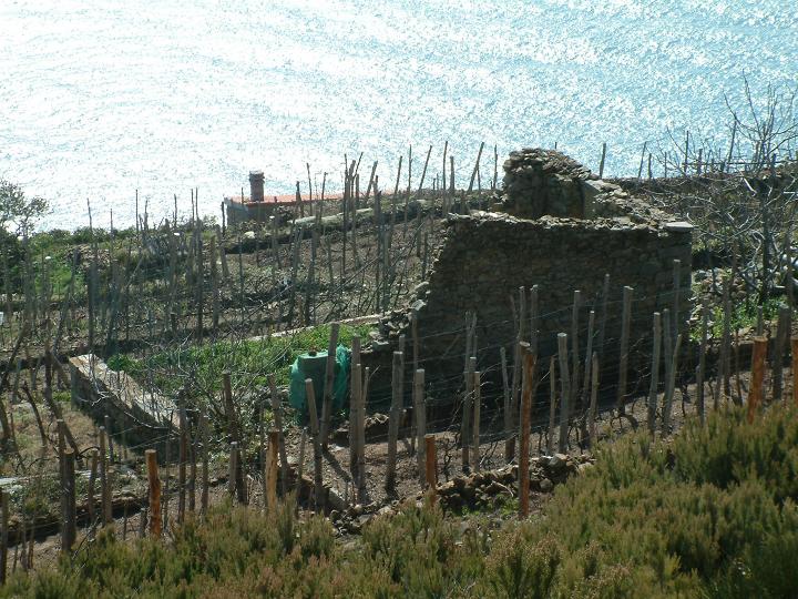 DSCF0118.JPG