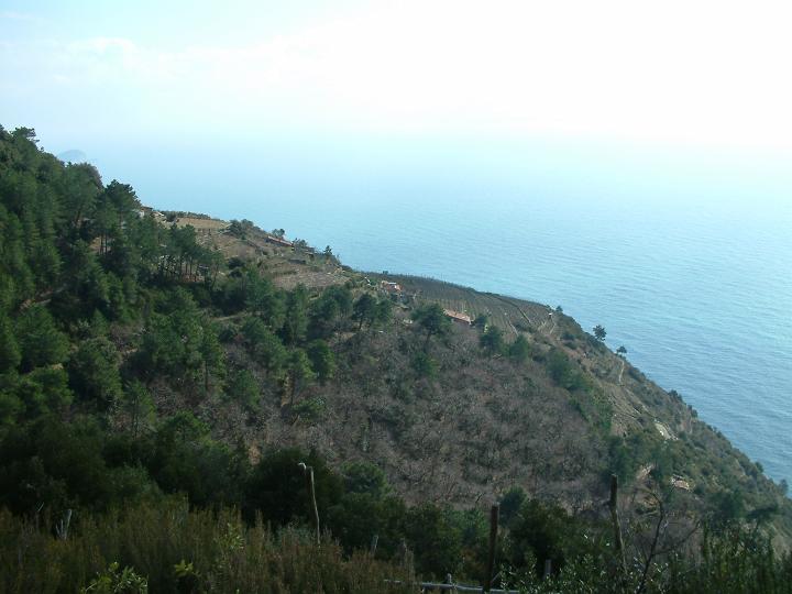 DSCF0137.JPG
