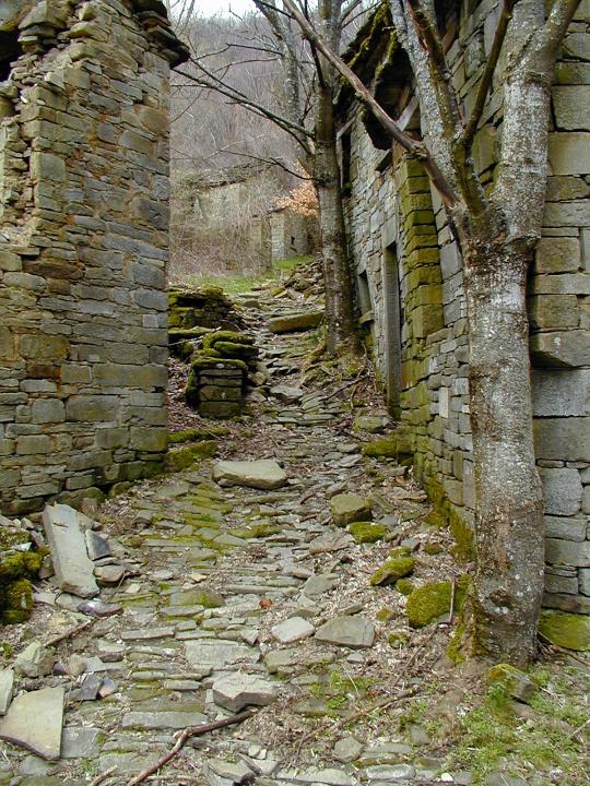 FB04.jpg - Monte Barigazzo 25-03-2001