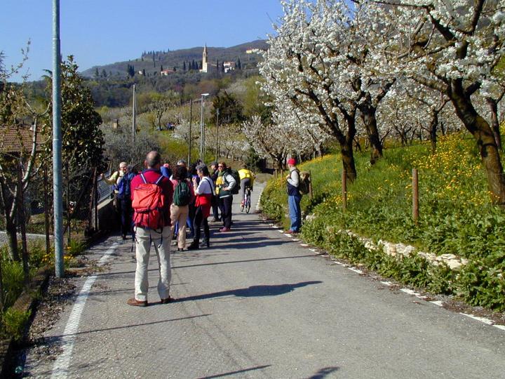 007.jpg - Colli Berici 01-04-2001