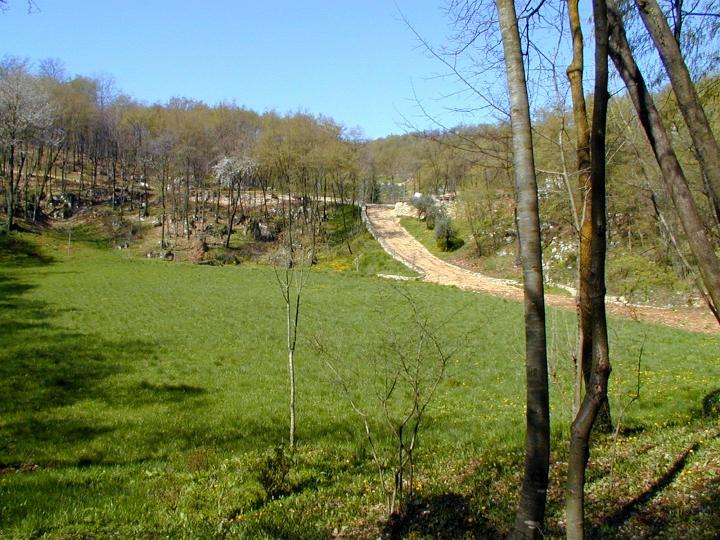 030.jpg - Colli Berici 01-04-2001
